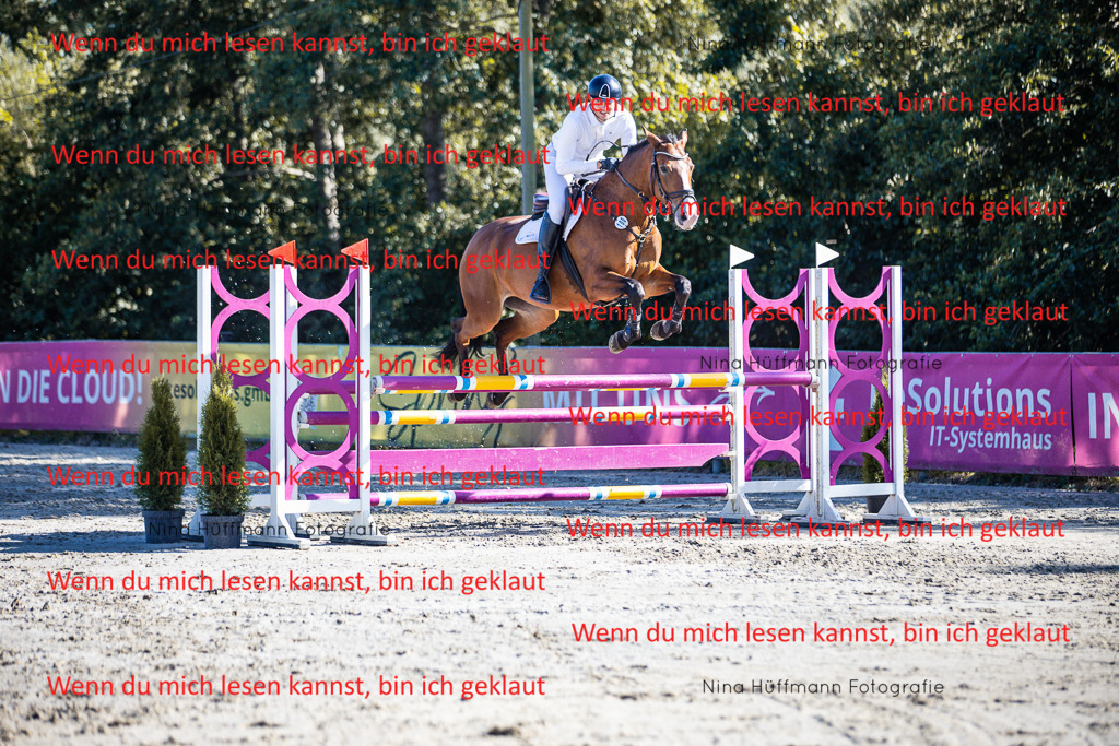 BK1A5903 | Turnierbilder Turnierfotos Nina Hüffmann Turnierfotografie Pferdefotografie Tierzeichnung Haustierzeichnung Pferdezeichnung Hundezeichnung Videograf  - Realisiert mit Pictrs.com