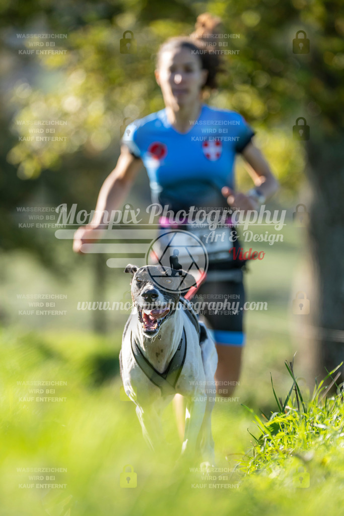 MompixPhotography_20TSB_E3_Run-111 | PayLife