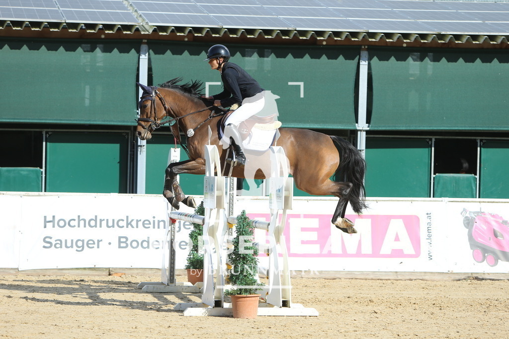 DL2Q4706 | Willkommen bei Brunnmayr - Design & Fotografie – Ihrem Spezialisten für Reitturniere und Pferdeveranstaltungen in Oberösterreich, Salzburg und Bayern! Seit über 17 Jahren sind wir leidenschaftlich dabei.