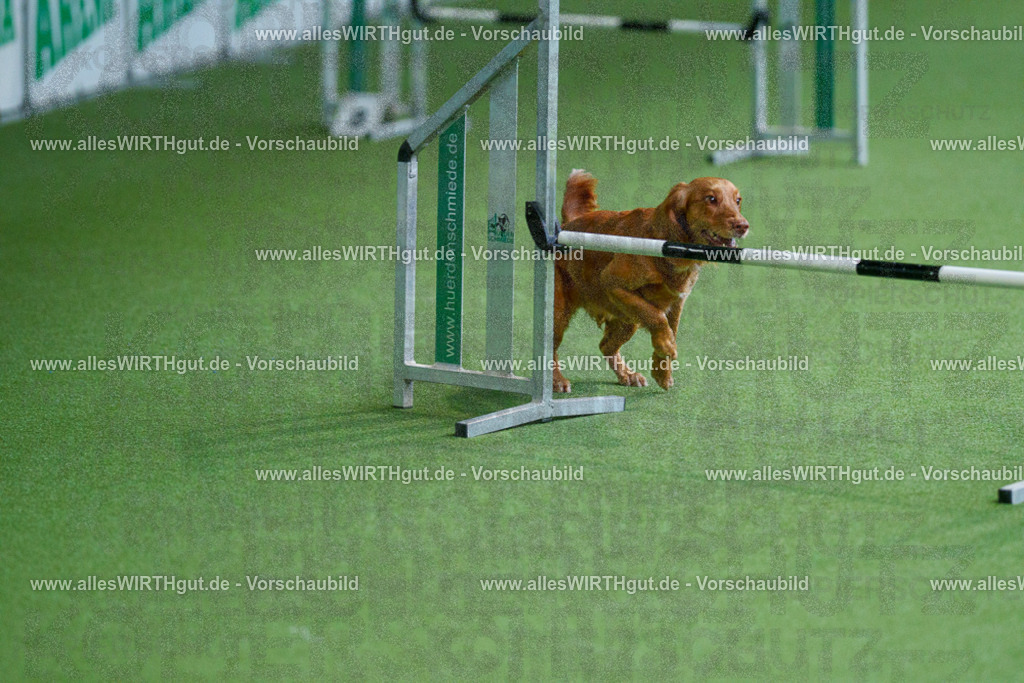 @allesWIRTHgut_Tierfotografie - www.allesWIRTHgut.de - 2604251117-7R500118 | Professionelle Tierfotografie in Mönchengladbach von Daniel Wirth (allesWIRTHgut). Liebevolle & natürliche Bilder von Hunden & Katzen für unvergessliche Erinnerungen.