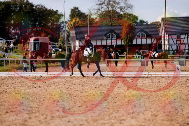 2026_10_03_Siefer-Hof_133902_Z81_98301971 | Professionelle Reitsport-, Turnier- und Eventfotografie von Robert Broda. Galerien mit ausgewählten und bearbeiteten Bildern direkt online ansehen und bestellen.