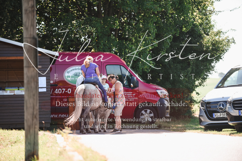 DSC_2690 | Pferde- und Turnierfotografie in Westsachsen. Pferdeportraits, Auftragszeichnungen und intuitive Kunst.