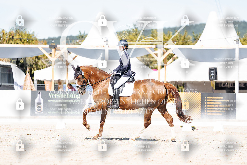 CK909328 | Turnierfotografie Pferdefotografie Trier Rheinland-Pfalz Pferdesport Reitsport Tierfotografie Sportfotografie Pferdevideo Pferdevideografie Equestrianvideography equestrianphotography  - Realisiert mit Pictrs.com