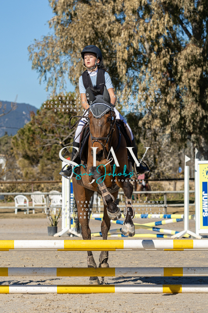 IMG_8273 | s-jay-photography - Realisiert mit Pictrs.com