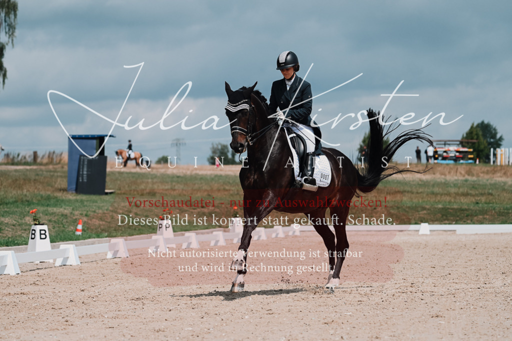 DSC_4084 | Pferde- und Turnierfotografie in Westsachsen. Pferdeportraits, Auftragszeichnungen und intuitive Kunst.