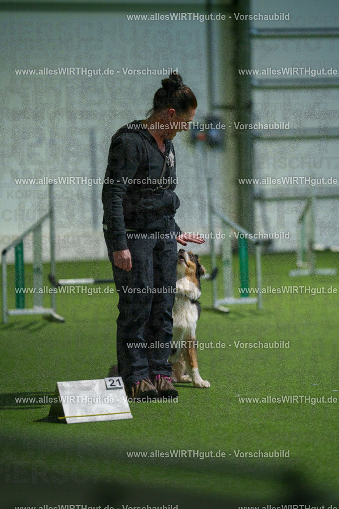 7R506964 | Professionelle Tierfotografie in Mönchengladbach von Daniel Wirth (allesWIRTHgut). Liebevolle & natürliche Bilder von Hunden & Katzen für unvergessliche Erinnerungen.