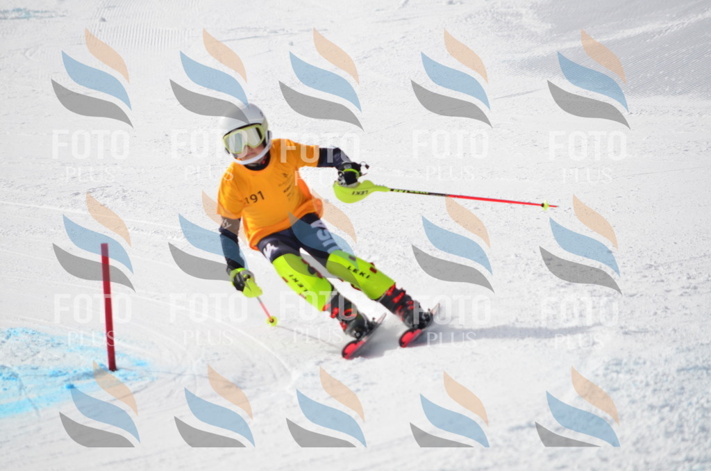 C8058 | holidayphoto