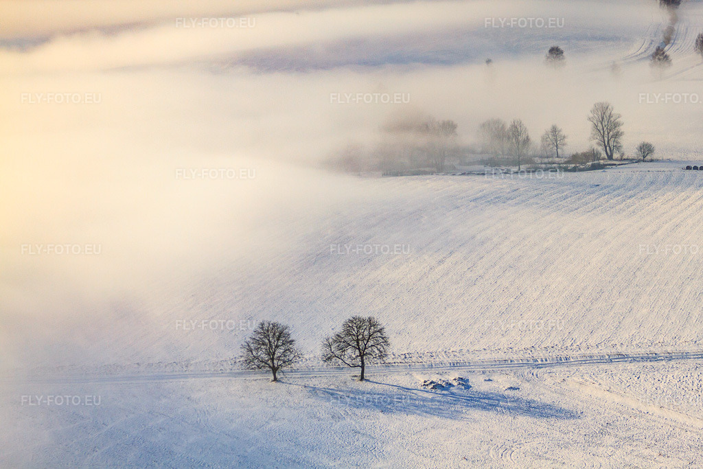 Vue aérienne: Un groupe d'arbres dans un champ enneigé. En hiver, sous les nuages. à Eberbach-Seltz dans le département Bas Rhin, France – .Photo: IMG_36207.jpg prise le 02/01/2011 par Werner Riehm/FLY-FOTO.eu – Résolution de l'original: 4752 x 3168 px