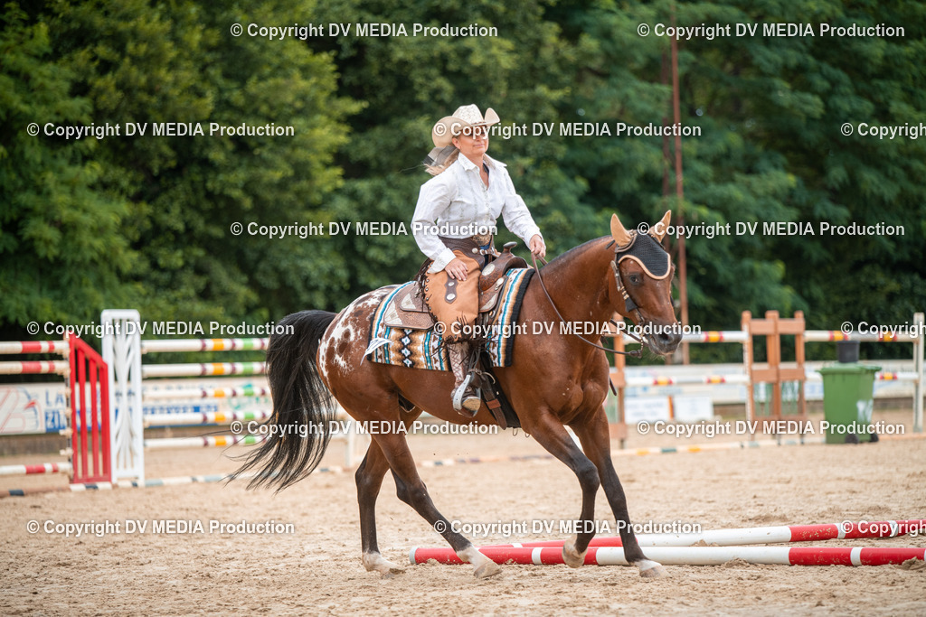 ZS2_8084 | dv-media-shop - Realisiert mit Pictrs.com