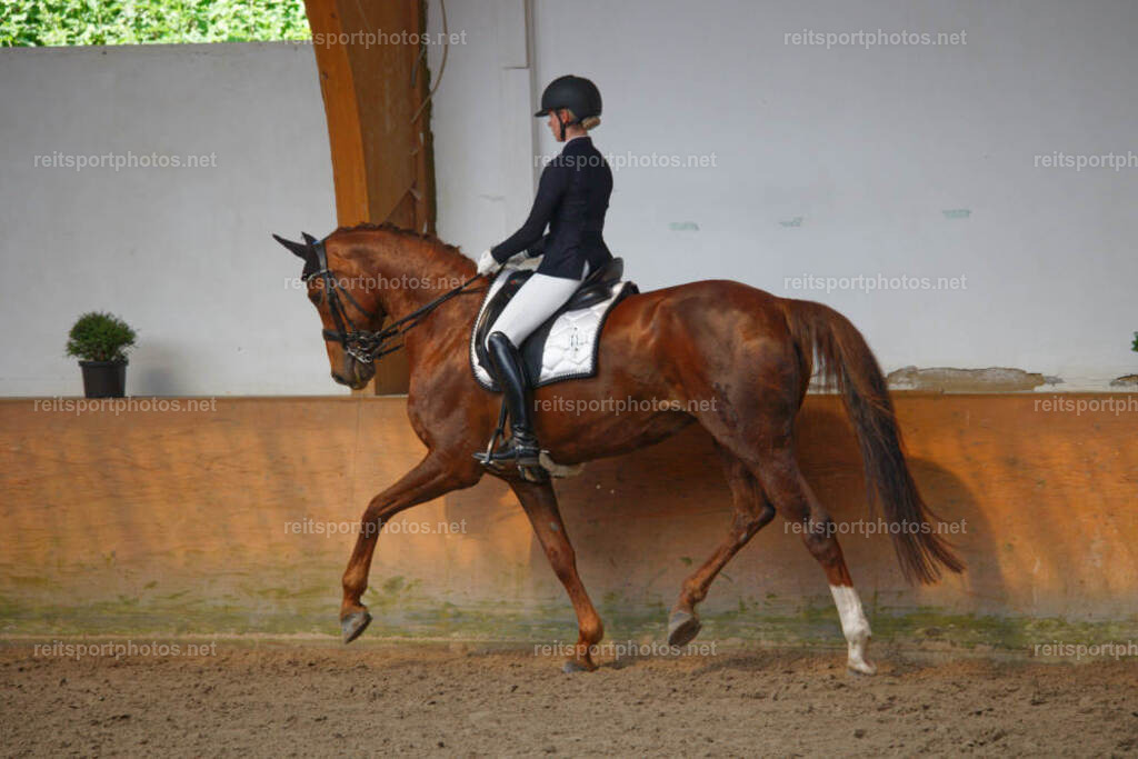 JHE_2092 | JoYa Fotografie - Realisiert mit Pictrs.com