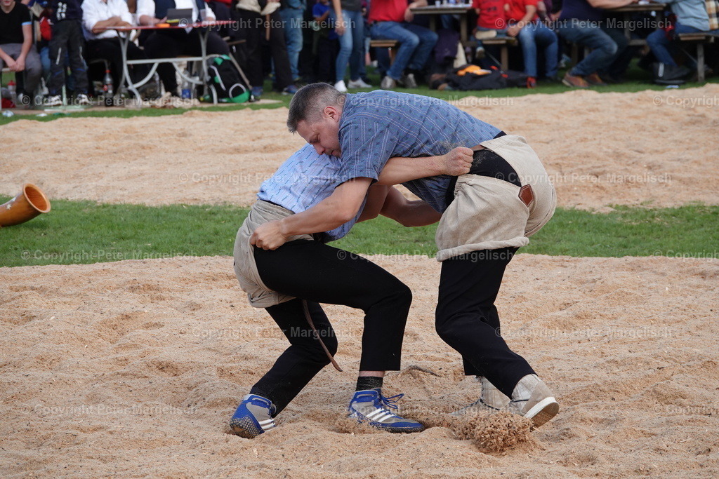 DSC02030 | Schwingen - Realisiert mit Pictrs.com