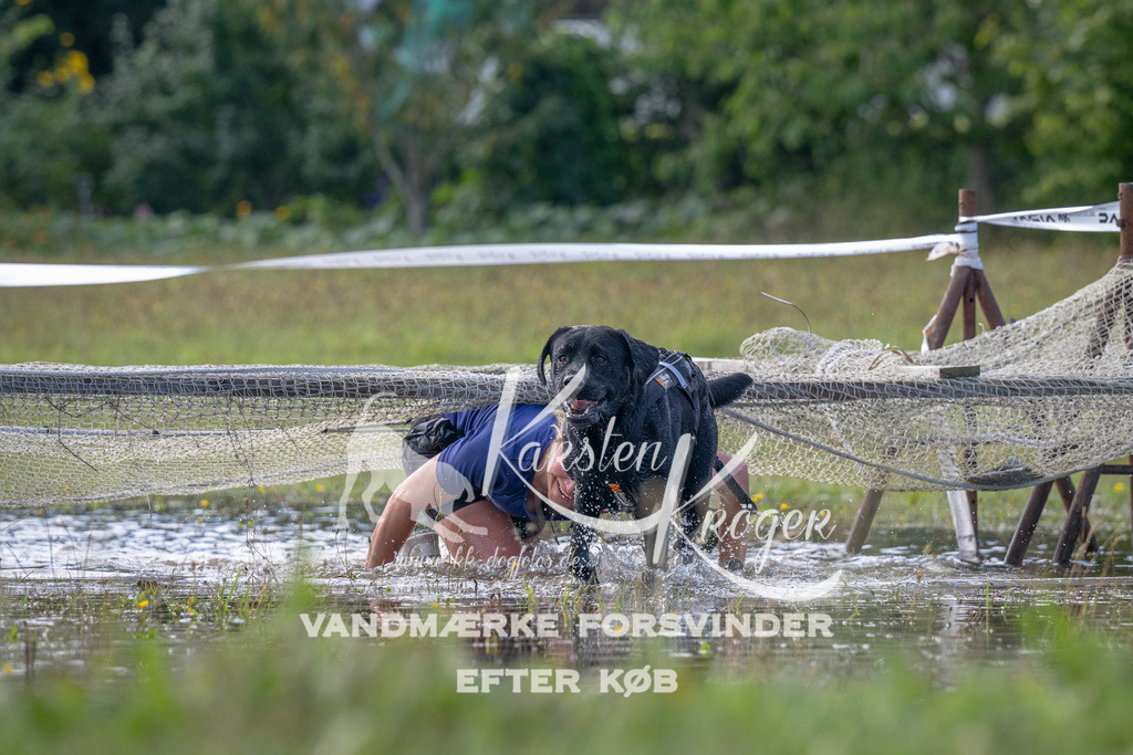 1152_ZZ90184 | kk-dogfotos