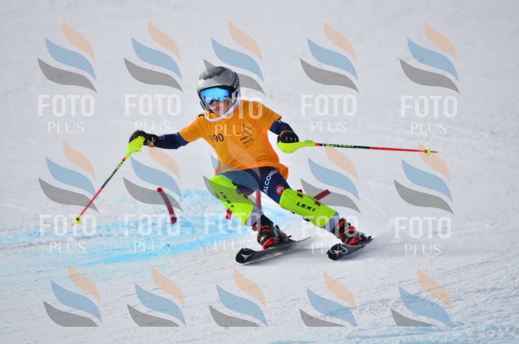 C8051 | holidayphoto