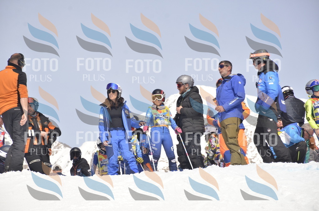 _ELE8742 | holidayphoto