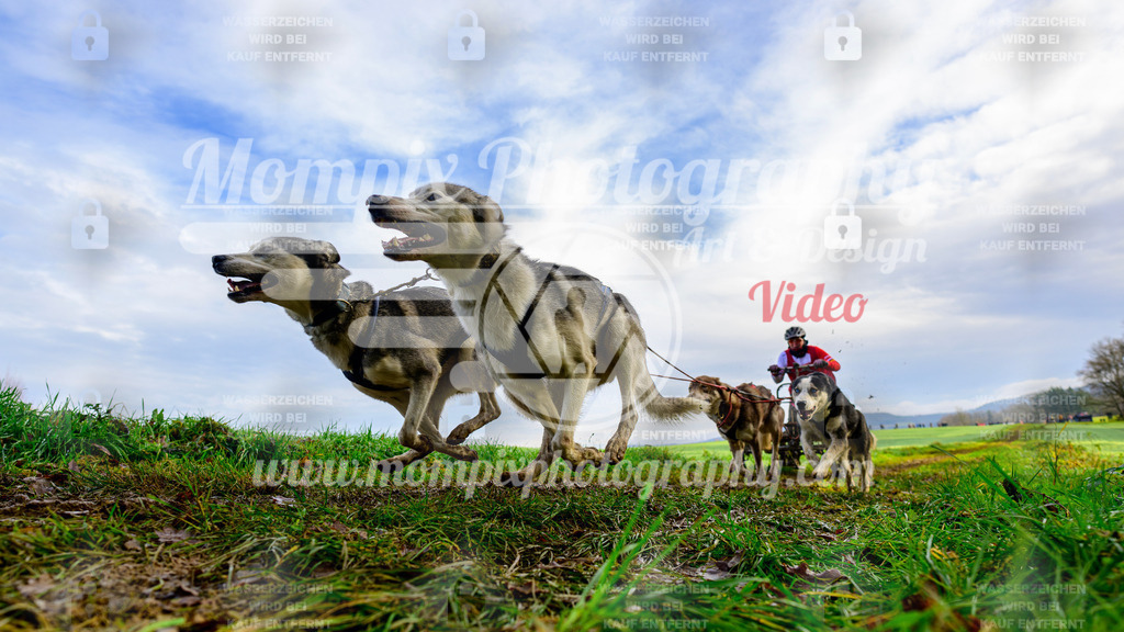 MompixPhotography_Staufertrail2024_SO_Kart-7 | PayLife