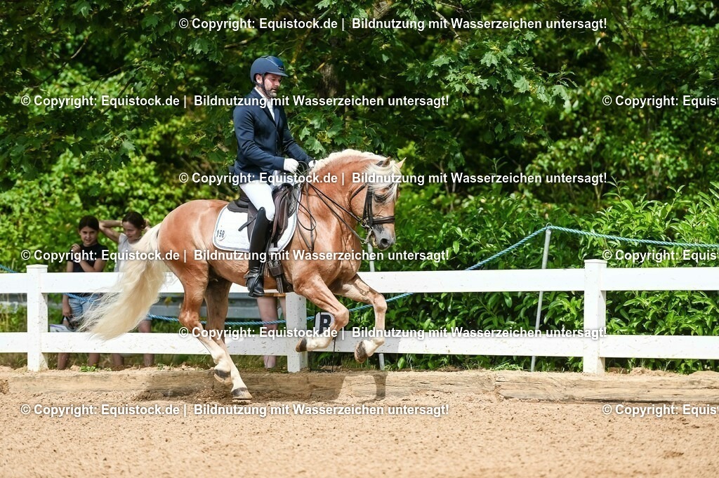20230716_01_Dressurprüfung Kl.M_0163 | equistock