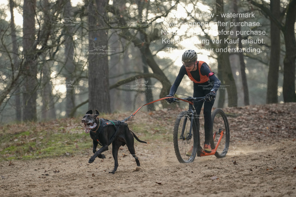 Scooter1-31 | stephaniefillaphotographie - Realisiert mit Pictrs.com