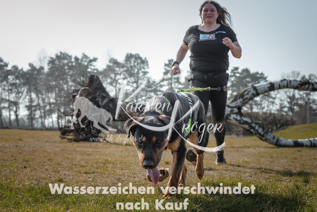 1106_ZZ94613 | kk-dogfotos