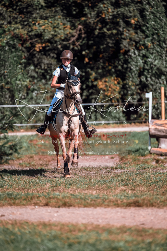 DSC_1068 | Pferde- und Turnierfotografie in Westsachsen. Pferdeportraits, Auftragszeichnungen und intuitive Kunst.