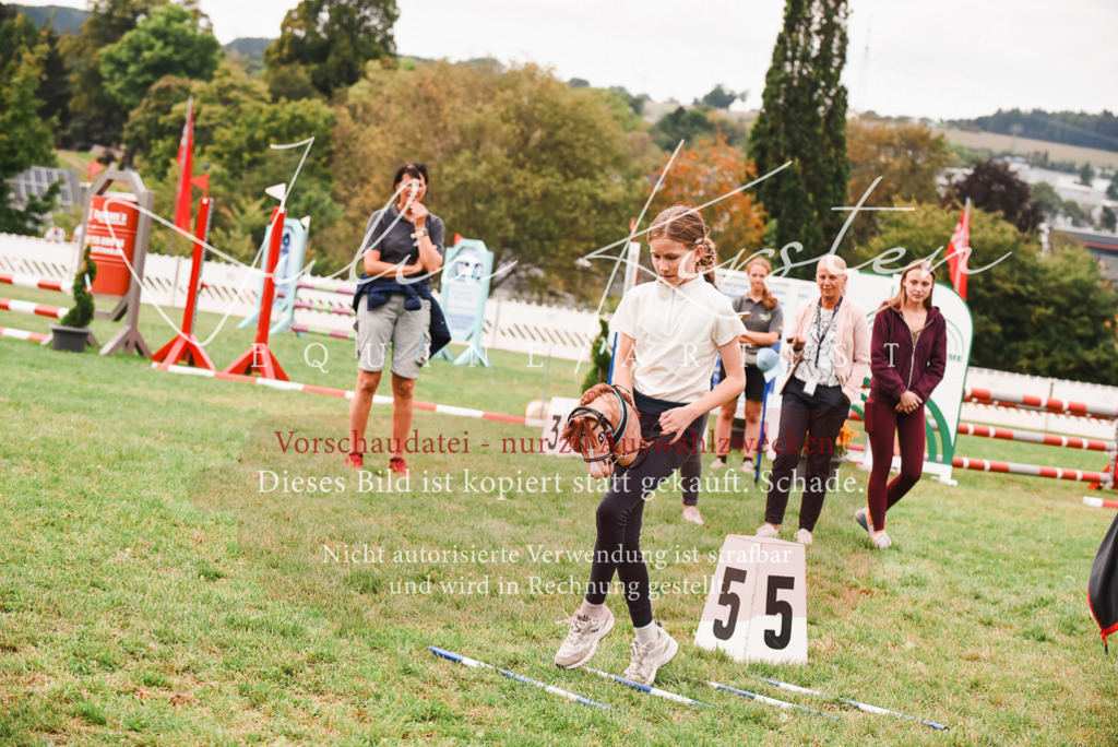 DSC_4447 | Pferde- und Turnierfotografie in Westsachsen. Pferdeportraits, Auftragszeichnungen und intuitive Kunst.