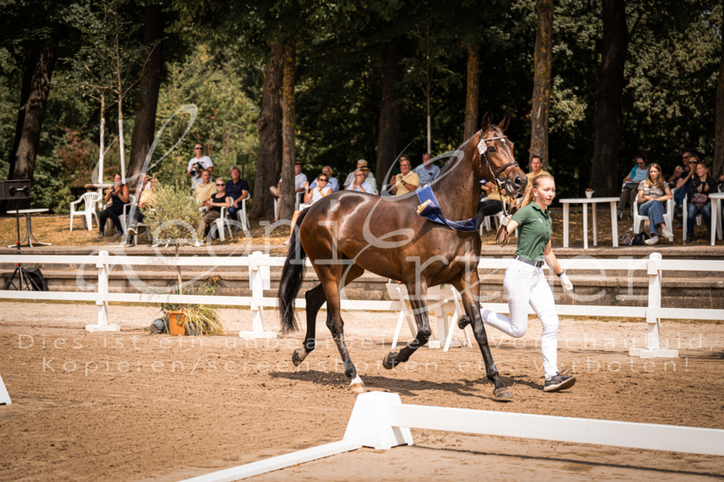 1.Fr00194 | Leoni Ertmer Photography - Realisiert mit Pictrs.com