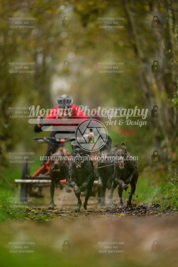 MompixPhotography_20TSB_E6_Kart-14 | PayLife
