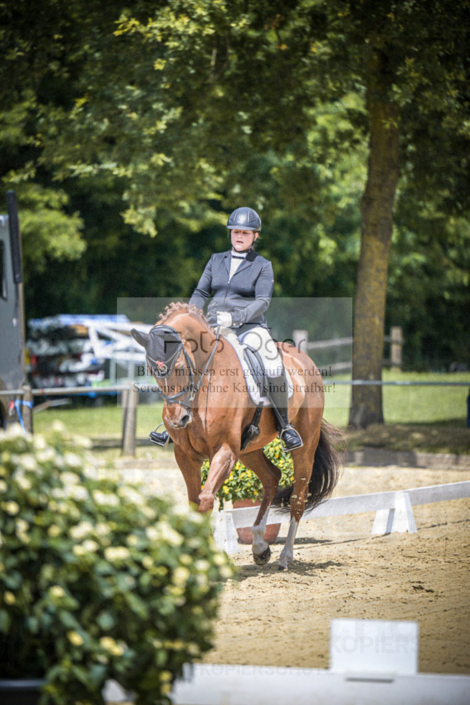 DOS_0575 | Entdecke hochwertige Reitturnierfotos von Foto Oger. Professionell, emotional und authentisch – jetzt Lieblingsmomente im Shop bestellen.Deutschlandweite Turnierfotografie. - Realisiert mit Pictrs.com