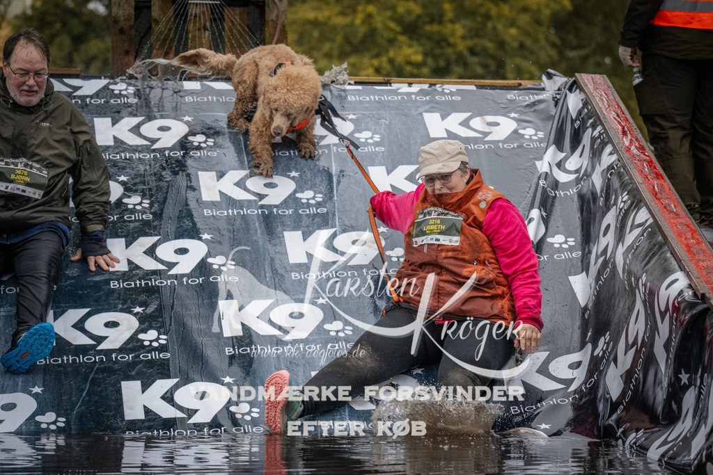 1136_ZZ93143 | kk-dogfotos