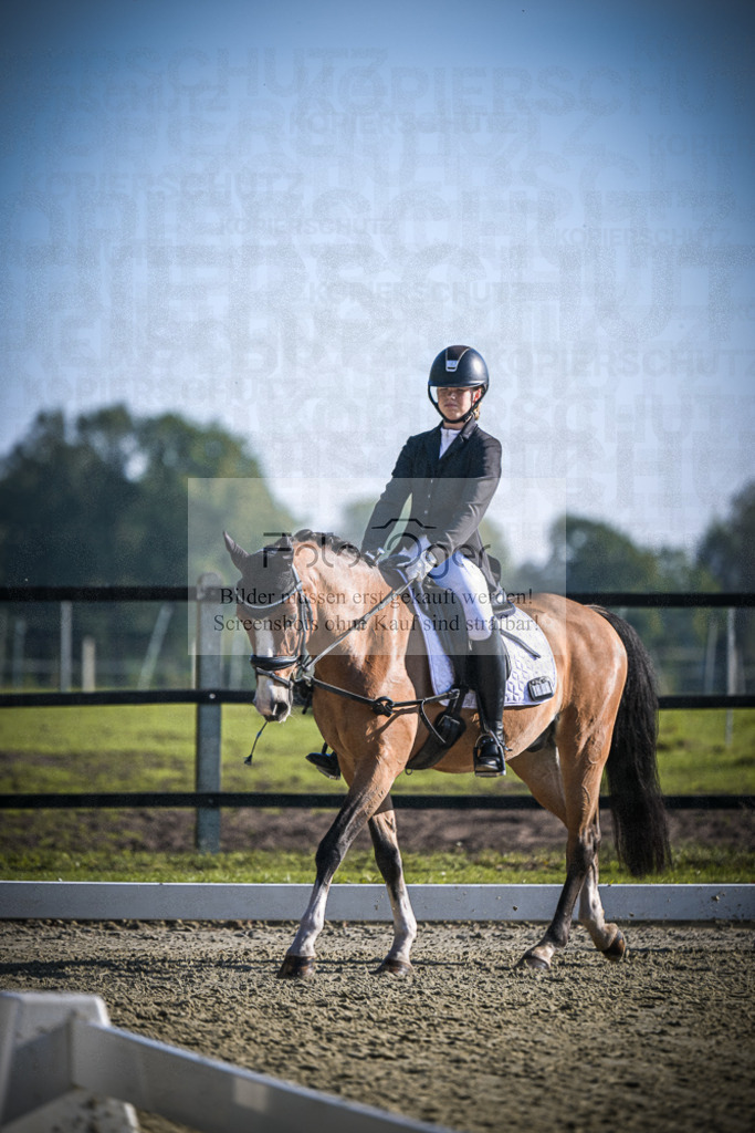 DOS_1347 | Entdecke hochwertige Reitturnierfotos von Foto Oger. Professionell, emotional und authentisch – jetzt Lieblingsmomente im Shop bestellen.Deutschlandweite Turnierfotografie. - Realisiert mit Pictrs.com