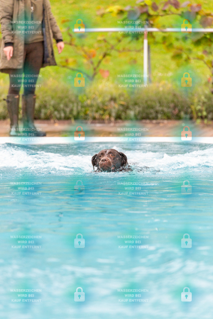 _HP_7272_1000o | HetPix, HetPix Fotodesign, Fotografie, Fotodesign, Webshop, Sportfotografie, Portraitfotografie, Onlineshop, Sportfotografie, Polch, Motorsportfotografie, Eventfotografie