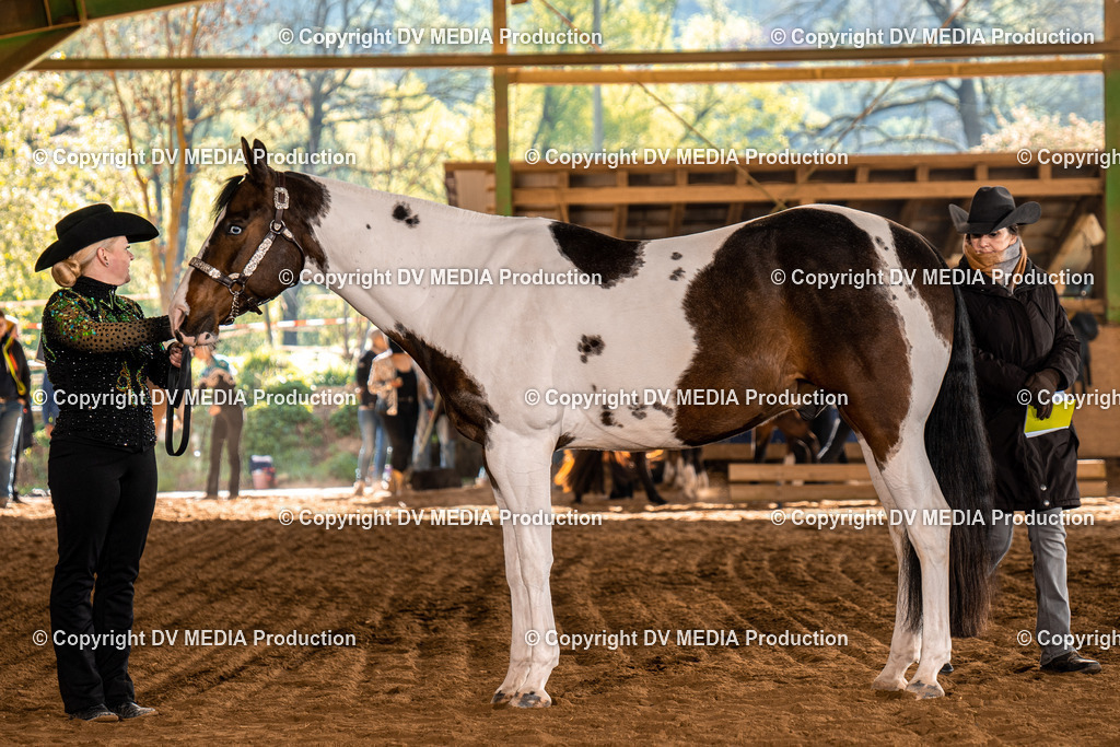 Balingen Tag 1-60 | dv-media-shop - Realisiert mit Pictrs.com