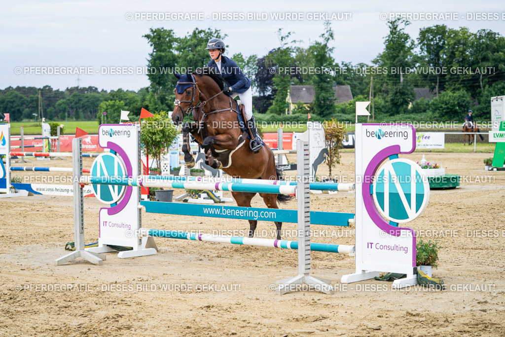 DSC04893 | Pferdegrafie