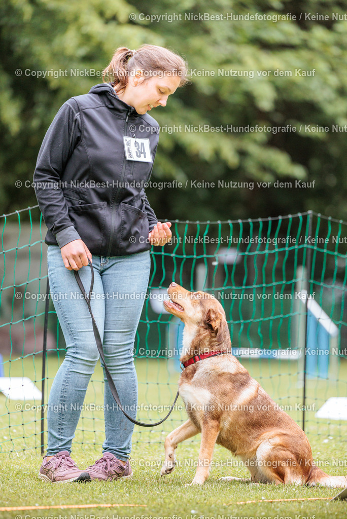 RO-Blumenthal-2026-Nickbest-Hundefotografie-2737 | Dein Hund! Dein Moment! Deine Erinnerungen! Hundefotografie in Bremen Blumenthal. Ich fange die besonderen Momente deines Vierbeiners ein – ob Indoor mit Blitzanlage oder in der freien Natur. Sicher dir dein Moment und dein Termin für eure Erinnerungen.