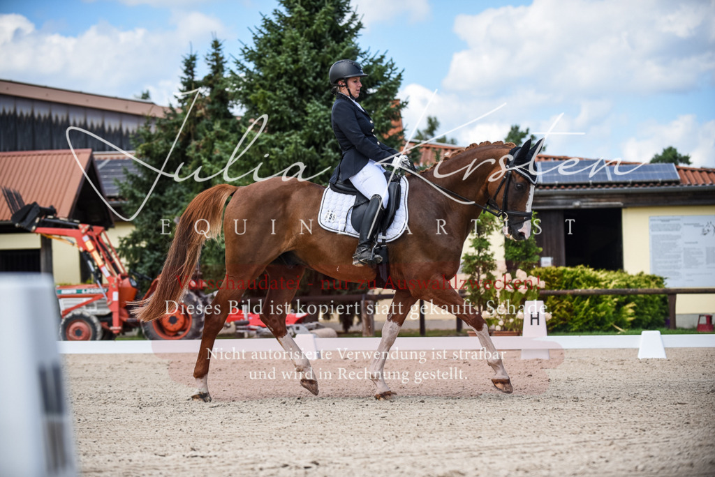 DSC_9320 | Pferde- und Turnierfotografie in Westsachsen. Pferdeportraits, Auftragszeichnungen und intuitive Kunst.