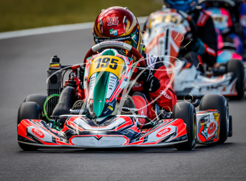 B9AA02C9-54DF-42B9-A453-14547ACC4E9C | traudl_s_fotos