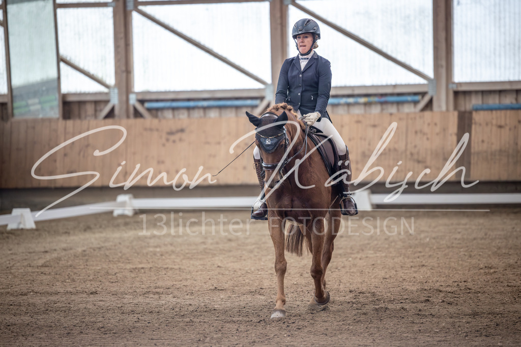 20251011-_3LI0986 | Tierfotografie Pferde, Hunde, Katzen, Haustiere.
Turnierfotografie Reitturniere, Reiten, Springreiten, Dressur in Hanau, dem Main-Kinzig-Kreis und dem Rhein-Main- Gebiet um Frankfurt