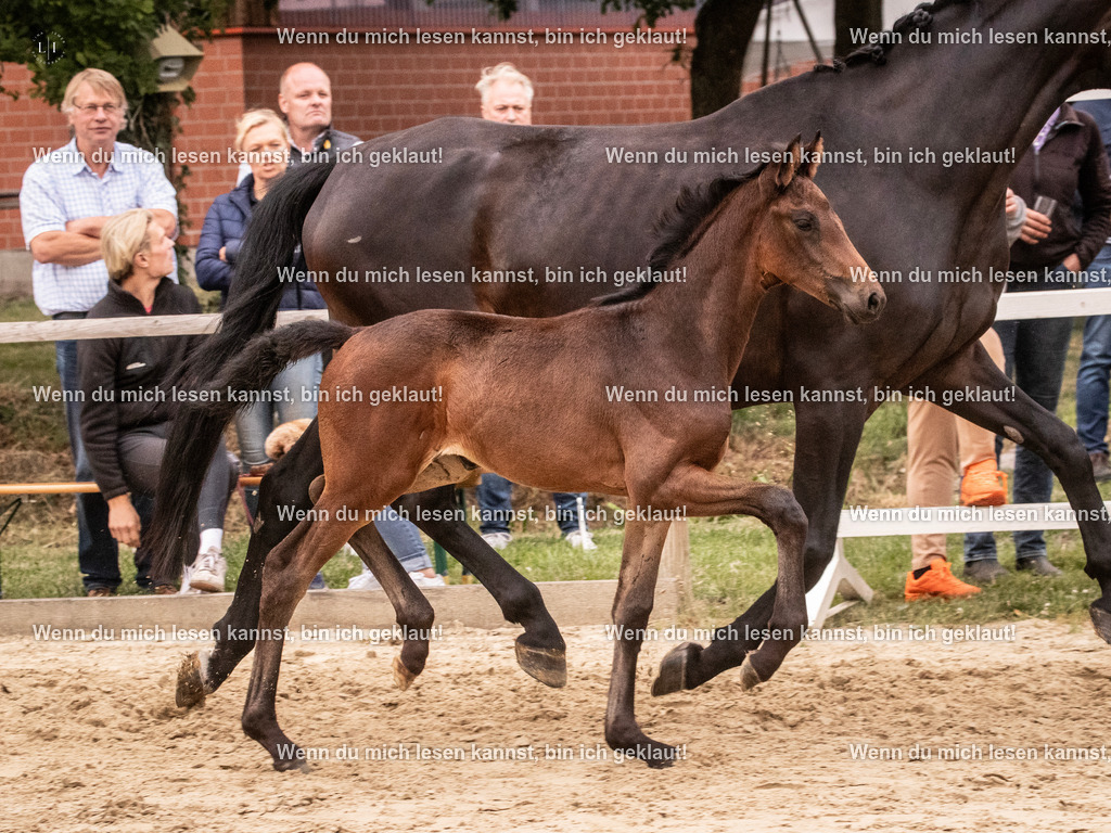 A10I5958 | photographylinaismer - Realisiert mit Pictrs.com