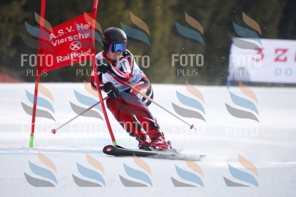 D8103 | holidayphoto