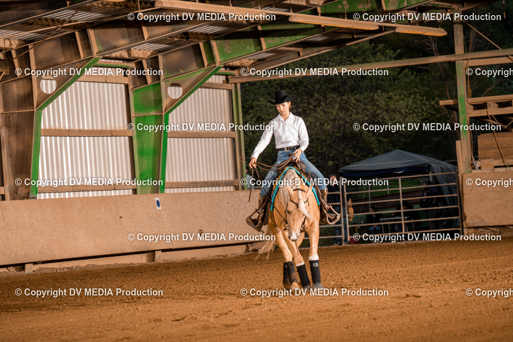 BA301401 | dv-media-shop - Realisiert mit Pictrs.com