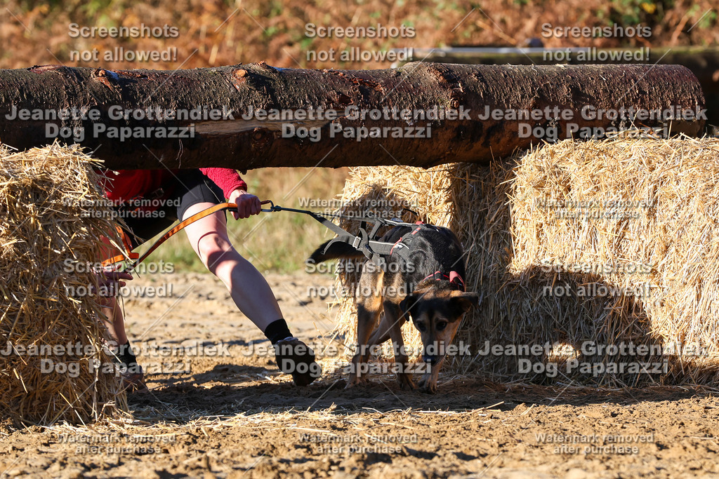 Dog Paparazzi - Strongdog 10-25-1218 | Dog Paparazzi Jeanette Grottendiek Fotografie & Videografie - Realisiert mit Pictrs.com