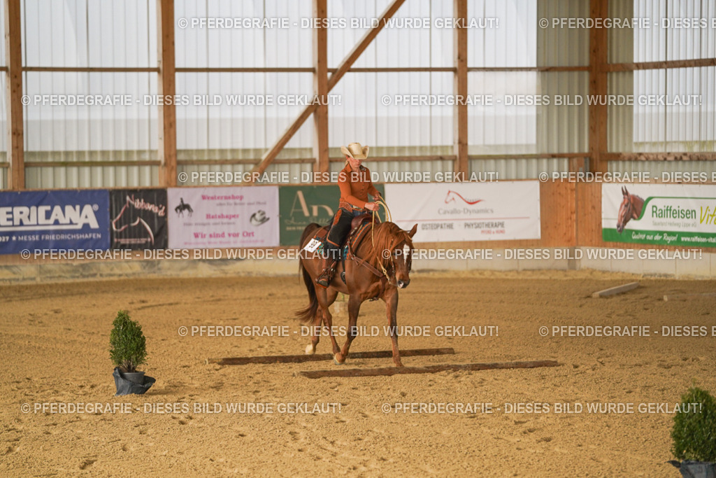 DSC01135 | Pferdegrafie