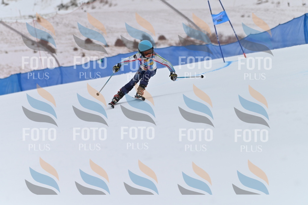 BGV_0432 | holidayphoto