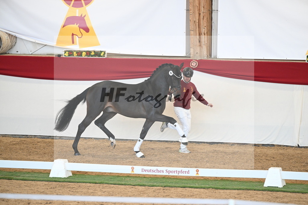 Kat.-Nr. 74 v. Quaterback_Mieleszko-Vekens_2250652 | hf-fotografie - Realisiert mit Pictrs.com