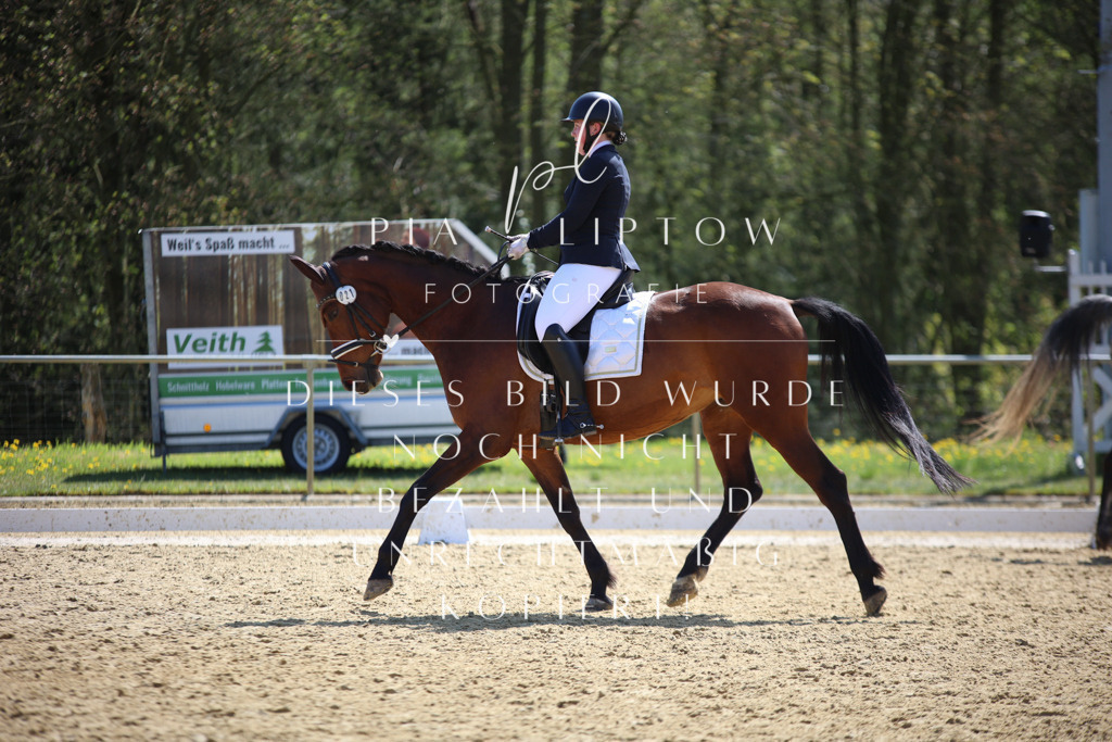 IMGT1664 | pl-fotografie