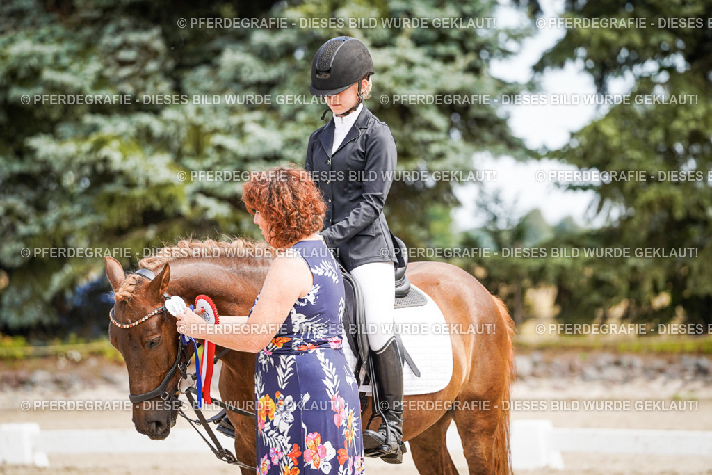 DSC02639 | Pferdegrafie