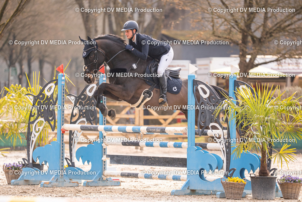 Kranichstein Tag 2-1397 | dv-media-shop - Realisiert mit Pictrs.com