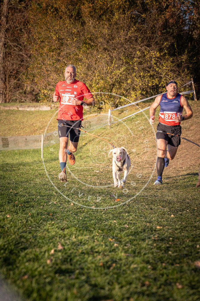 CaniXpix_0L8A1144 | Hundefotografie, Tierfotograf, Pfotenfotografie, Fotoshooting Hund, Hunde Portrait, Hundesport, Hundeportraits, Heideshooting, Hunde, Sportfotograf, Hundefotograf, Turnierhundsport, THS,  - Realisiert mit Pictrs.com