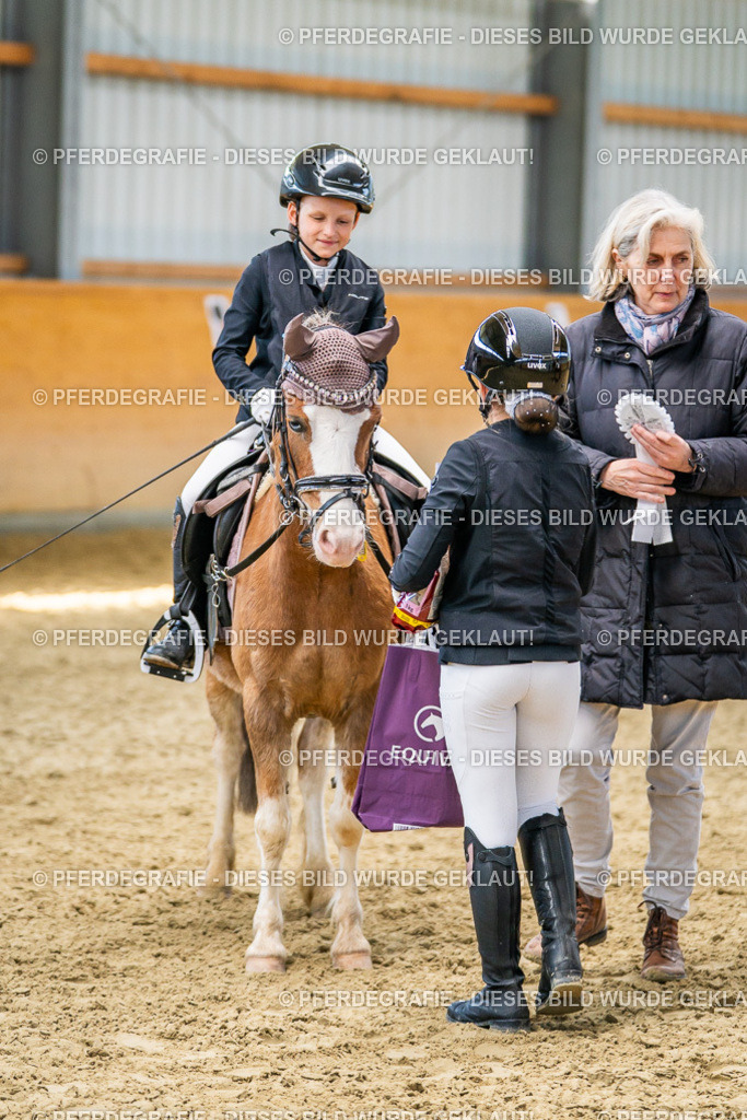 DSC03074 | Pferdegrafie