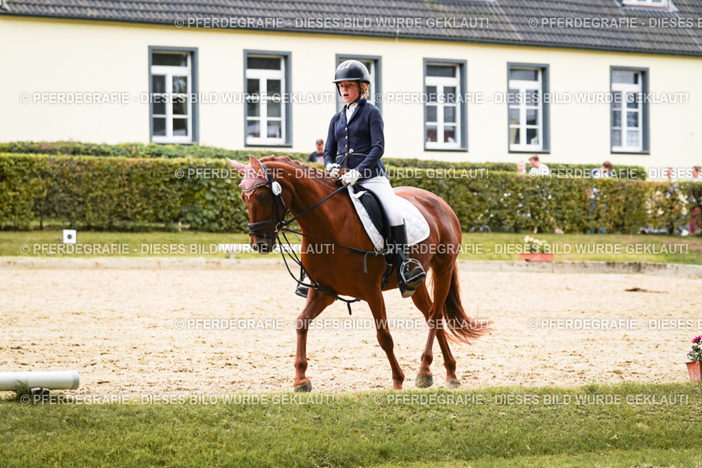 DSC09798 | Pferdegrafie