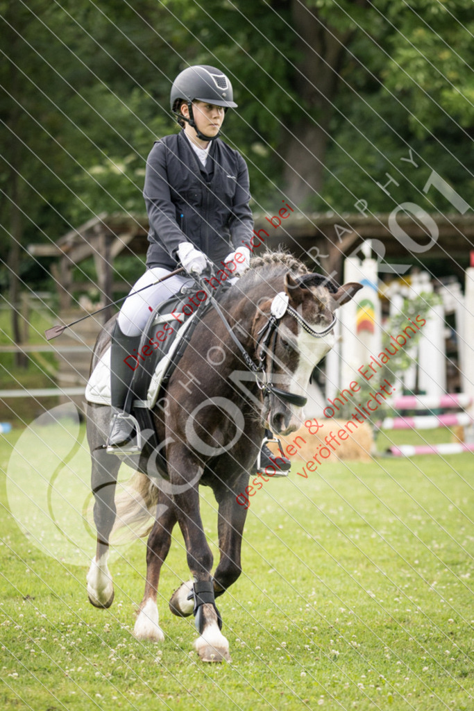IMG_2480 | Sport-, Event- und Tierfotos in Profiqualität. Einfach auswählen, bestellen und herunterladen. Dein Moment – perfekt festgehalten.